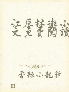 江辰林微小说全文免费阅读最新章节封面