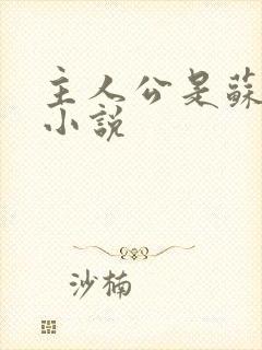 主人公是苏扬的小说封面