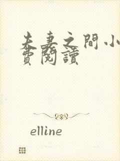 夫妻之间小说免费阅读