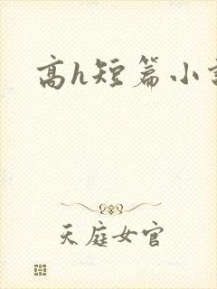 高h短篇小说封面