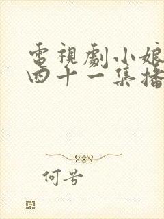 电视剧小娘惹第四十一集播放