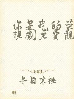 你是我的荣耀电视剧免费观看下载