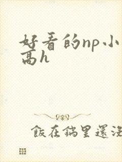 好看的np小说高h