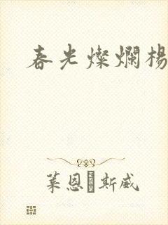 春光灿烂杨家将