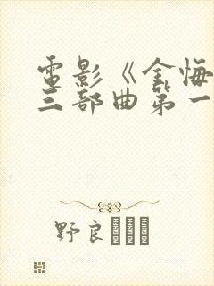 电影《金悔瓶》三部曲第一集播放