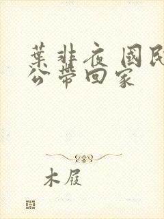 叶非夜 国民老公带回家