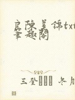 良陈美锦txt笔趣阁封面