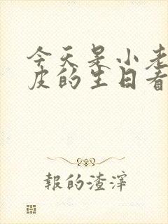 今天是小老鼠皮皮的生日看图写话封面