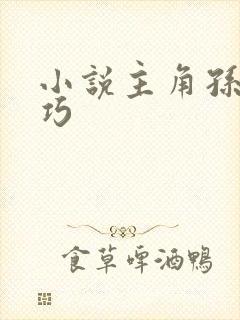 小说主角孙哲叶巧