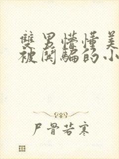 双男懵懂美人受被哄骗的小说