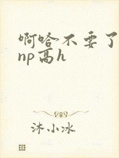 啊哈不要了男男np高h