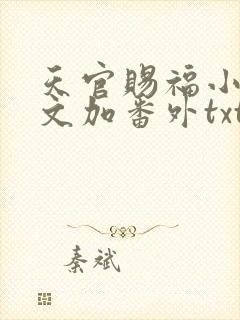 天官赐福小说全文加番外txt