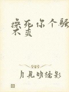 操死你个骚货爽不爽