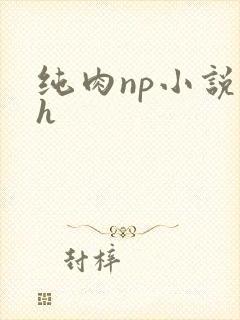 纯肉np小说高h