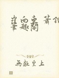 崔向东 萧错 笔趣阁