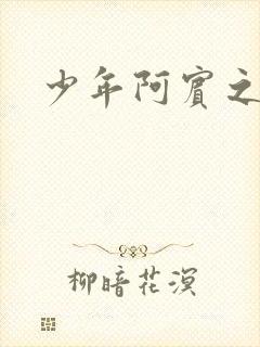 少年阿宾之学姐