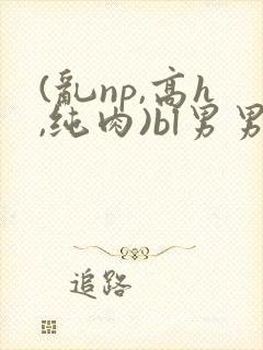 (乱np,高h,纯肉)bl男男