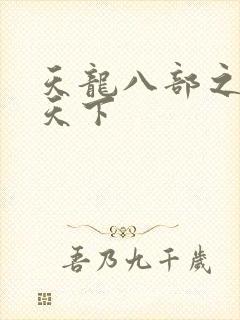 天龙八部之猎美天下封面