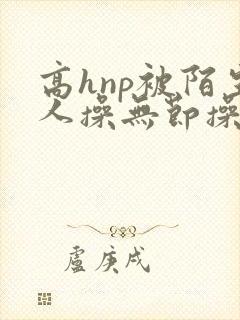 高hnp被陌生人操无节操小说