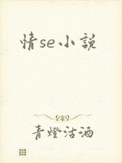情se小说