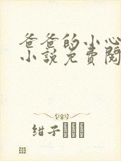 爸爸的小心肝儿小说免费阅读