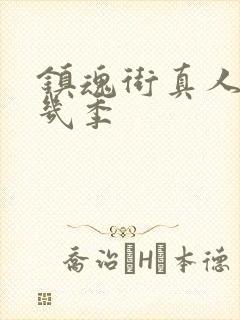 镇魂街真人版有几季