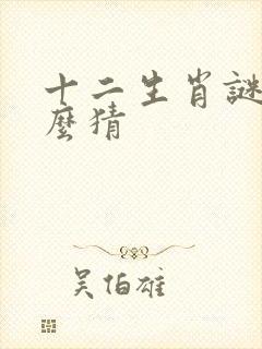 十二生肖谜语怎么猜封面