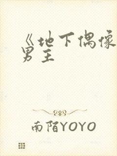 《地下偶像》双男主