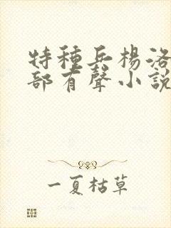 特种兵杨洛第三部有声小说