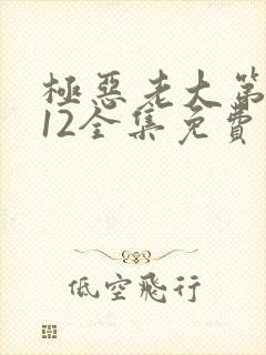 极恶老大第二季12全集免费播放封面