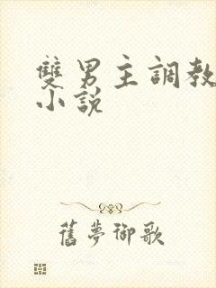 双男主调教sm小说