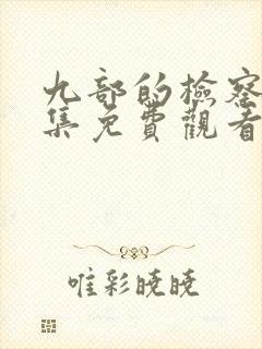 九部的检察官全集免费观看完整版