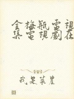 金梅瓶电视剧全集电视剧在线看高清封面