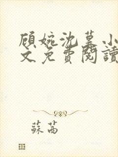 顾婉沈暮小说全文免费阅读无弹窗