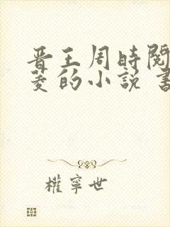 晋王周时阅陆昭菱的小说 书旗封面