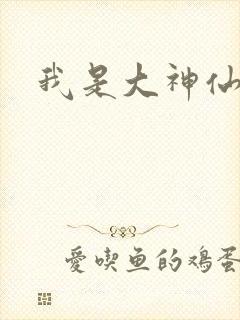 我是大神仙小说