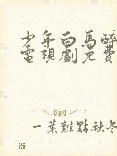 少年白马醉春风电视剧免费观看全集在线播放