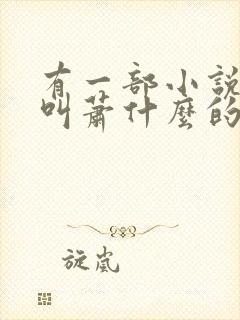 有一部小说主角叫萧什么的封面