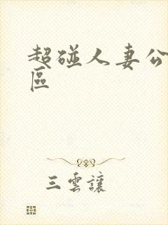 超碰人妻公开一区