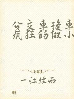 公交车后车座的疯狂的做小封面