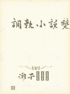 调教小说双性人