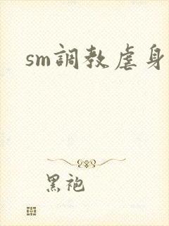 sm调教虐身文