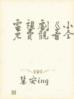 电视剧《小舅》免费观看全集高清