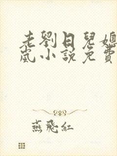 老刘日儿媳妇张岚小说免费阅读