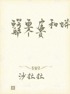 鳄鱼皮和蟒蛇皮哪个贵封面