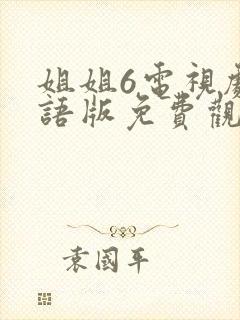 姐姐6电视剧国语版免费观看