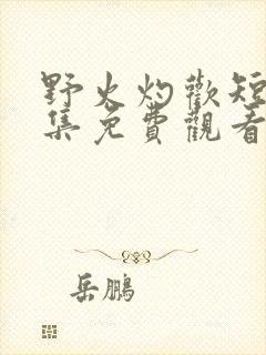 野火灼欢短剧全集免费观看