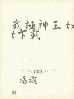 武极神王 txt下载