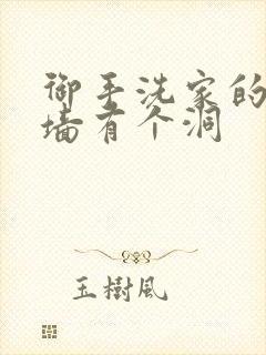 御手洗家的故事墙有个洞