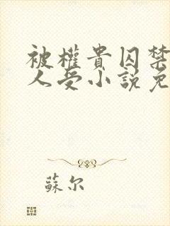 被权贵囚禁的美人受小说免费阅读下